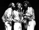 The Bee Gees live performance photo print capturing their iconic stage presence.