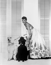 Audrey Hepburn with dogs photo print in black and white.