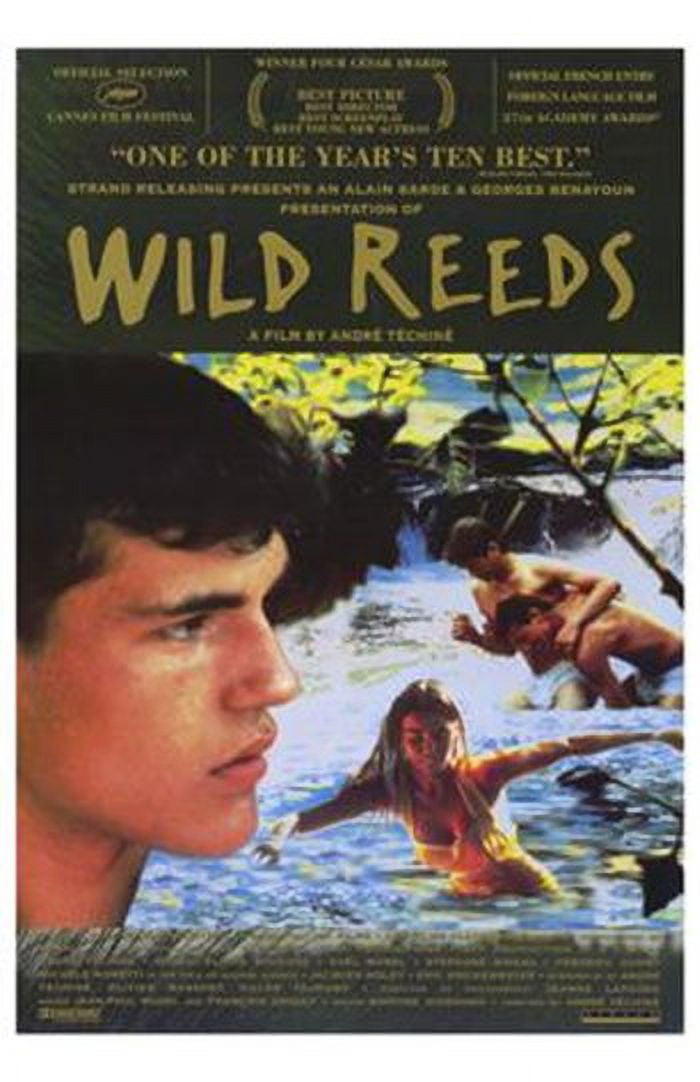 Wild Reeds Movie Poster - 11x17 Print featuring vibrant colors.