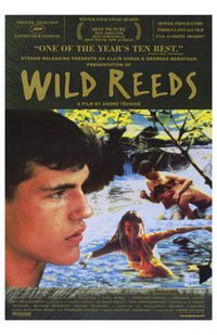 Wild Reeds Movie Poster - 11x17 Print featuring vibrant colors.