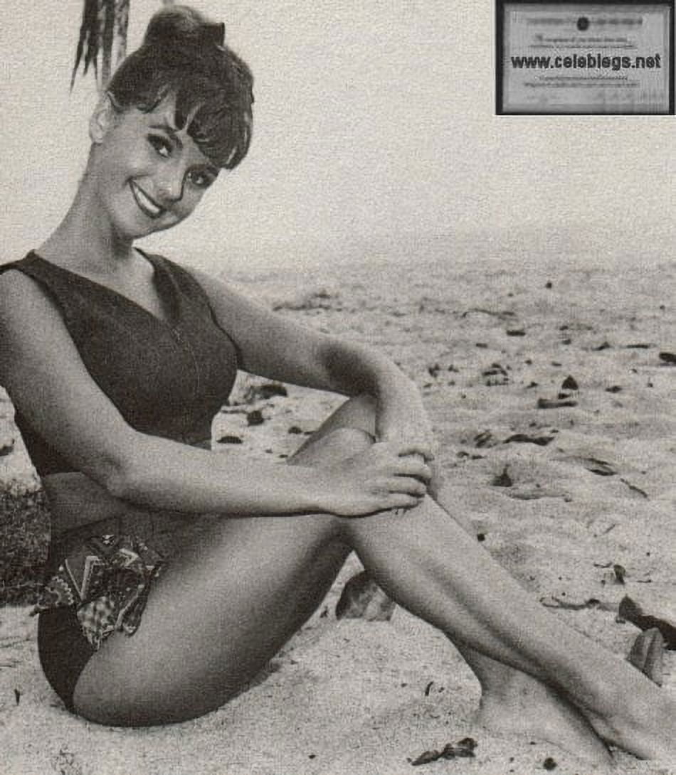 Dawn Wells sitting on a beach photo print