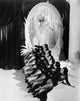 Ziegfeld Follies photo print showcasing classic theatrical performance
