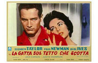 Cat on a Hot Tin Roof movie poster print - 17x11