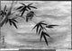 Bird and Bamboo Art Print attributed to Sesshu Toyo, 8 x 10 inches.