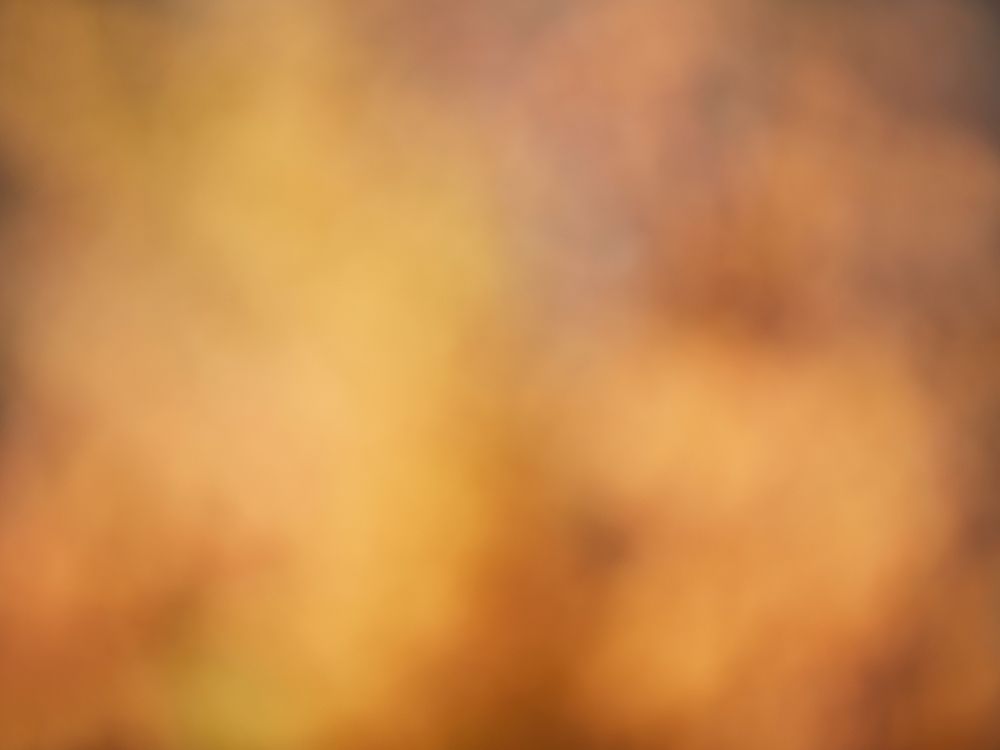 Soft Landscape V Poster Print by James McLoughlin featuring serene natural scenery.