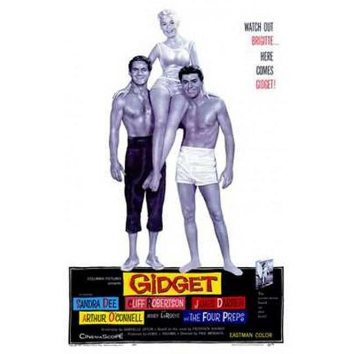 Gidget Movie Poster 11x17 - classic beach film art print