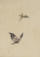Butterfly and Moth art print by Katsushika Hokusai, vibrant colors and intricate details.