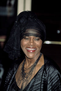 Cicely Tyson tribute poster print at Lincoln Center honors for Susan Sarandon by Cj Contino