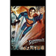 Superman IV: The Quest for Peace Movie Poster 11x17