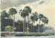 Red Shirt Homosassa Florida Art Print by Winslow Homer, showcasing vibrant colors and early 20th-century Florida scenery.