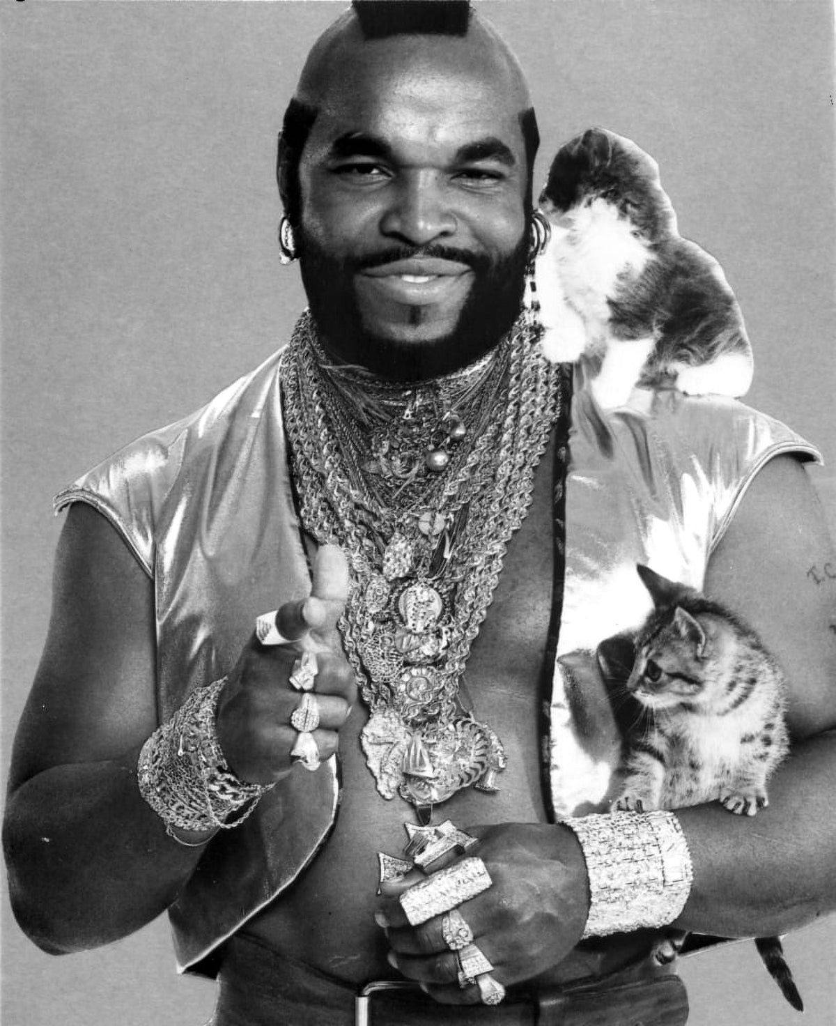 Mr. T surrounded by kittens photo print
