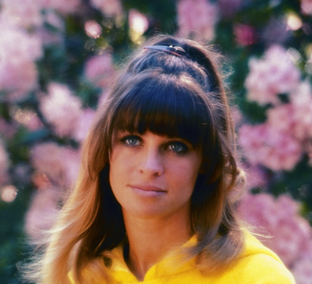Petulia movie poster print featuring Julie Christie in 1968.