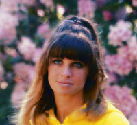 Petulia movie poster print featuring Julie Christie in 1968.