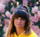 Petulia movie poster print featuring Julie Christie in 1968.