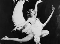 Sally Rand in a dancing pose portrait poster print