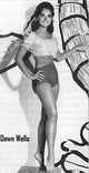 Dawn Wells Drawn Tree Backdrop Photo Print in multiple sizes