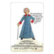 The Little Prince movie poster print 11x17