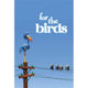 For The Birds Movie Poster Print 27 x 40