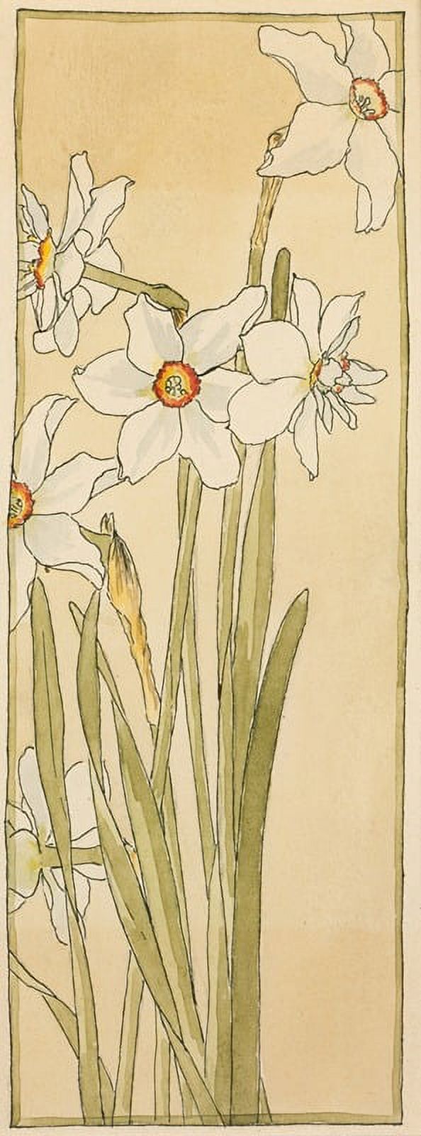 Poet's Narcissus art poster print by Hannah Borger Overbeck, featuring floral design.