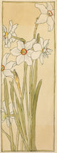Poet's Narcissus art poster print by Hannah Borger Overbeck, featuring floral design.