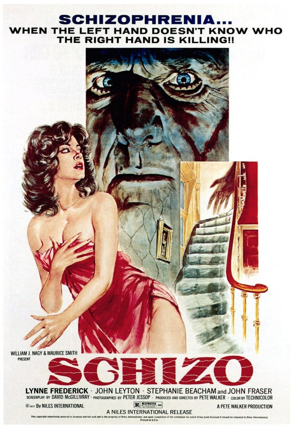 Schizo 1976 Movie Poster Masterprint - Vintage Film Art
