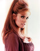 Raquel Welch 1960s iconic photo print in multiple sizes.