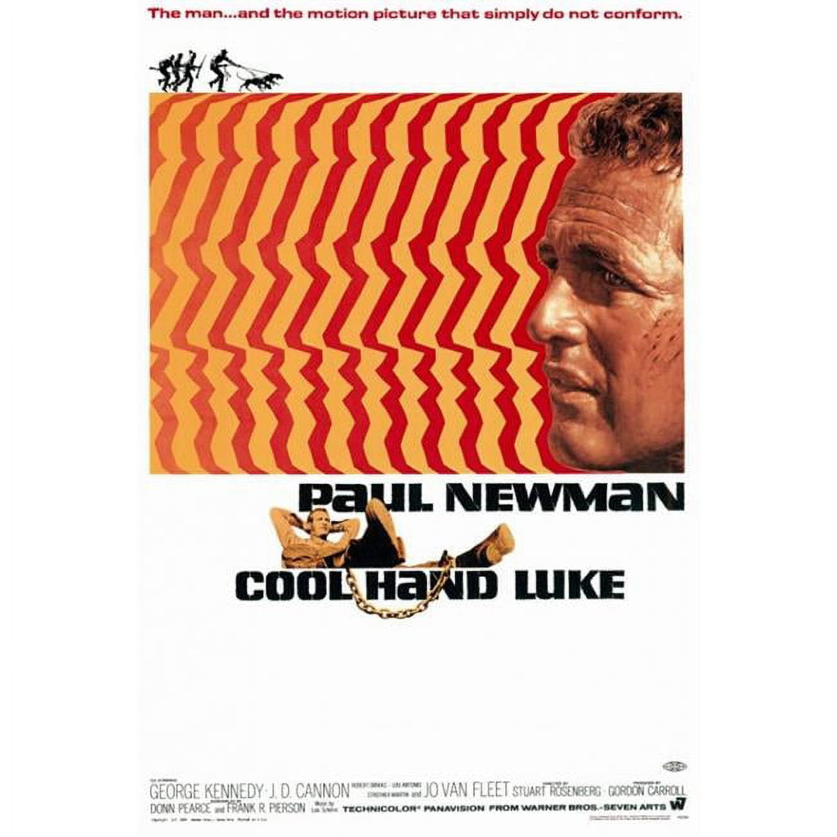 Cool Hand Luke Movie Poster Print featuring Paul Newman