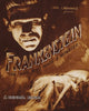 Frankenstein Movie Poster Masterprint 11x17