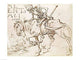 Death Riding Poster Print by Albrecht Durer showcasing intricate detail.