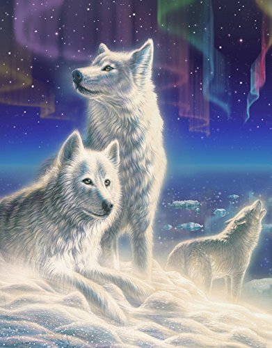 Arctic Wolves Poster Print by Adrian Chesterman