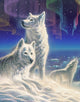 Arctic Wolves Poster Print by Adrian Chesterman
