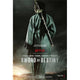 Crouching Tiger Hidden Dragon Sword of Destiny Movie Poster 11x17