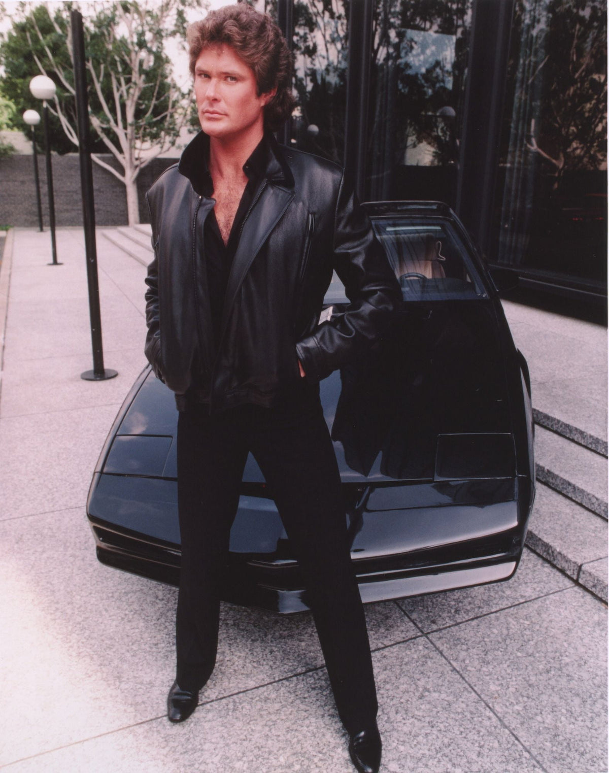 David Hasselhoff photo print in black leather jacket and pants.