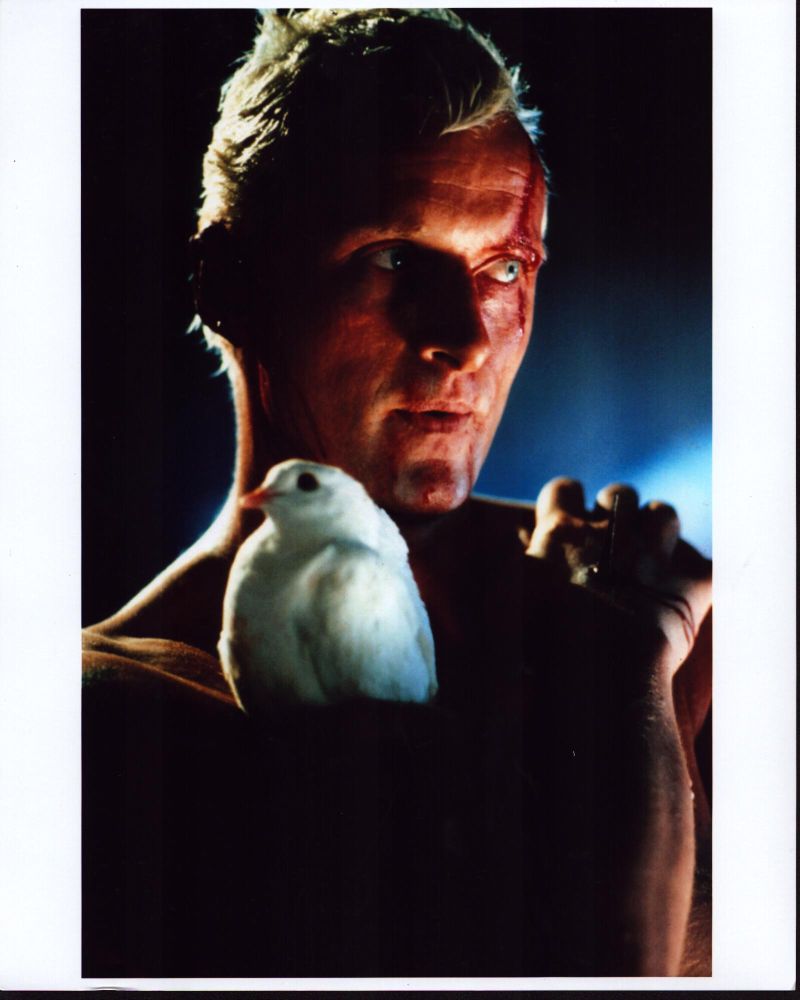 Rutger Hauer holding bird in Blade Runner photo print.