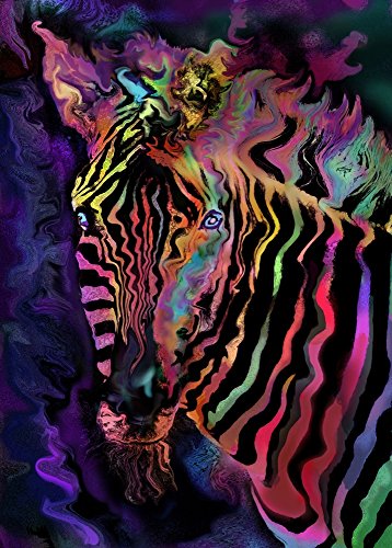 Colorful Rainbow Zebra Poster Print by Alixandra Mullins.