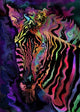 Colorful Rainbow Zebra Poster Print by Alixandra Mullins.