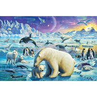 Arctic Night Poster Print by Adrian Chesterman with vibrant colors and detailed landscape.