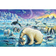 Arctic Night Poster Print by Adrian Chesterman with vibrant colors and detailed landscape.