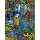 Bird Tropical Land Poster Print by Alixandra Mullins showcasing vibrant tropical scenery.