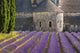 Lavender Field and Senanque Abbey photo print showcasing vibrant purple lavender in Provence.