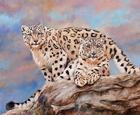 Snow Leopards on Rock Poster Print by David Stribbling