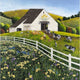 Daisy Field Farm Poster Print by Art Poulin featuring vibrant daisies