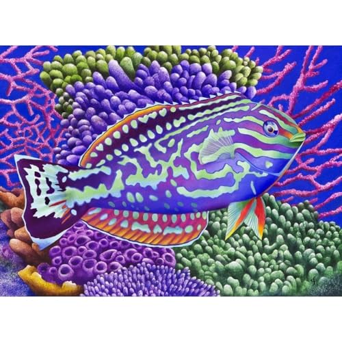Radical Wrasse Poster Print by Carolyn Steele featuring vibrant marine colors.