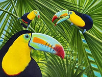 Toucan Threesome Poster Print by Carolyn Steele featuring colorful toucans.