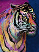 Rainbow Tiger Poster Print by Alixandra Mullins showcasing vibrant colors and majestic tiger.