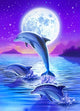 Day of the Dolphin Midnight Poster Print by Robin Koni
