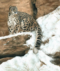 Leopard in the Snow Poster Print by Sarah Stribbling