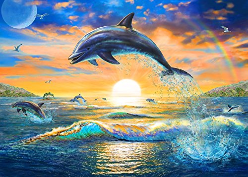 Dolphin Sunrise Poster Print by Adrian Chesterman featuring dolphins at sunrise.