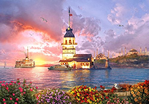 Maiden Tower Poster Print by Dominic Davidson