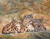 Snow Leopard Mother and Cub Poster Print by David Stribbling